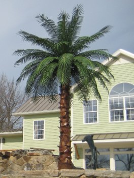 Realistic Poolside Outdoor Artificial Palm Trees Tall Backyard